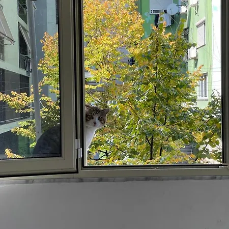 Rita's Apartamento